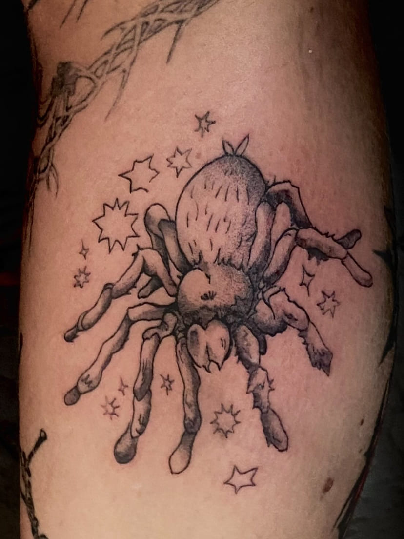 Tarantula surrounded by stars on the calf, fresh