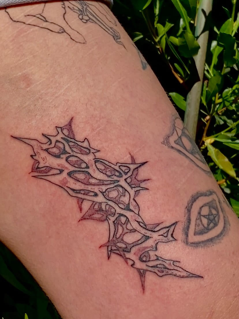 Barbed bone mass with an eye at the elbow, fresh