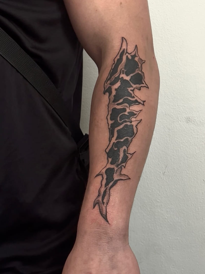 Exoskeletal bone mass along the forearm, second angle